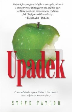 Upadek - Steve Taylor