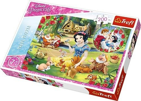 200 Elementów Marzenie o miłości, Disney Princess
