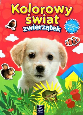 Kolorowy świat zwierzątek. Piesek