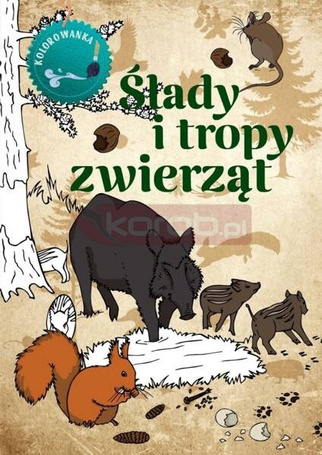 Ślady i tropy zwierząt kolorowanka
