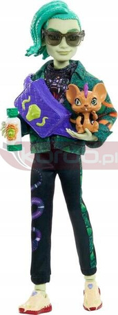 LALKA MONSTER HIGH DEUCE GORGON + akcesoria HHK56