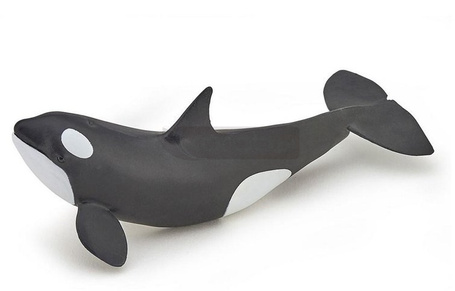 Orka