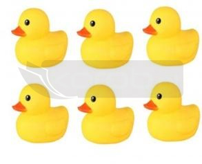 Kaczka do kąpieli 6-pack