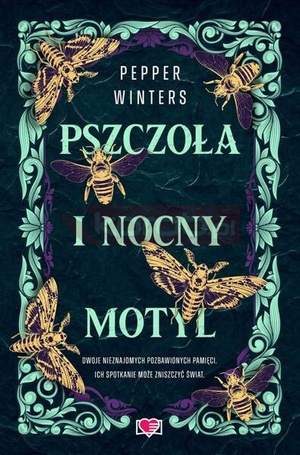 Destini Chronicles T.1 Pszczoła i nocny motyl