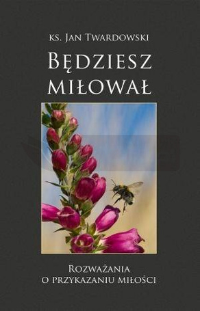 Będziesz miłował. Rozważania o przykazaniu miłości