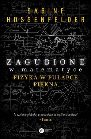 Zagubione w matematyce. Fizyka w pułapce piękna