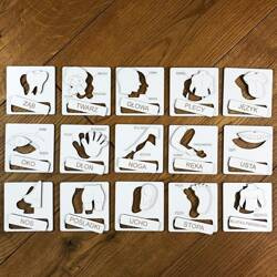 Układanka tematyczna - części ciała