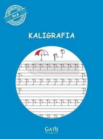 Zeszyt A4/16K linia Kaligrafia