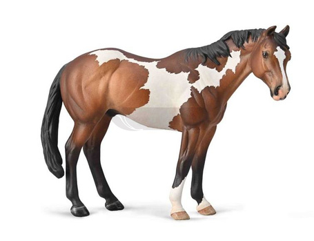 Appaloosa ogier
