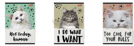 Zeszyt A5/32K linia podw. 2 kolor Caturday(15szt)