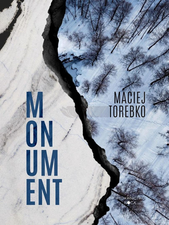 Momentum