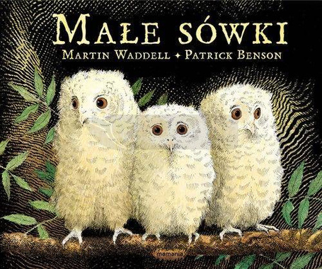 Małe sówki