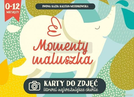 Momenty maluszka. Karty do zdjęć