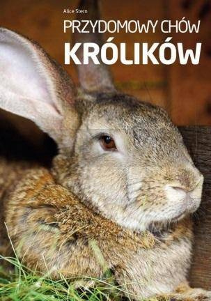 Przydomowy chów królików
