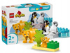 LEGO DUPLO 10442 Rodziny dzikich zwierząt: pingwiny i lwy, zestaw klocków