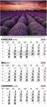 Kalendarz 2026 trójdzielny na spirali MIX