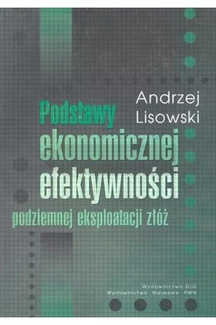 Podstawy ekonomicznej efektywności podziemnej eksp