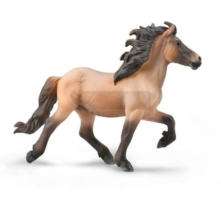 Icelandic Stallion Bay Dun