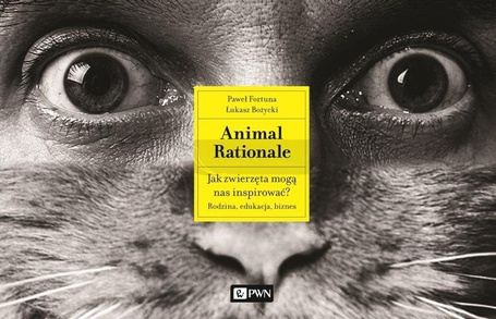 Animal Rationale