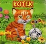 Kotek JAFI
