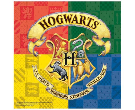 Serwetki papiertowe Harry Potter 33x33cm 20szt