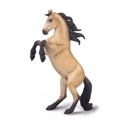 Klacz Warlander maści buckskin