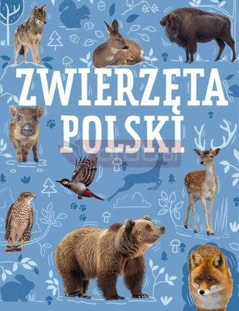 Zwierzęta Polski
