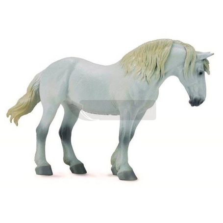 Klacz rasy Percheron Mare Grey