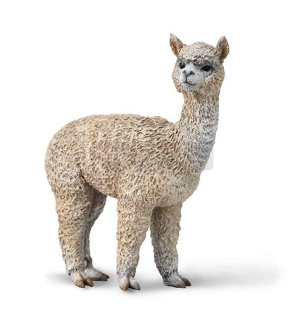 Alpaka