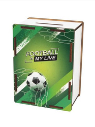 Skarbonka Football