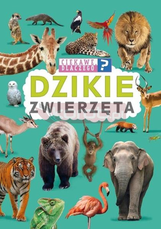 Ciekawe, dlaczego? Dzikie zwierzęta