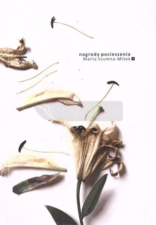 Nagrody pocieszenia