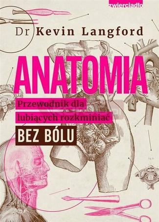Anatomia. Przewodnik dla lubiących rozkminiać..