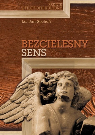 Bezcielesny sens. Szkice z filozofii kultury