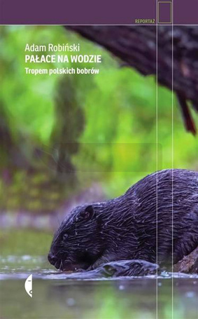 Pałace na wodzie. Tropem polskich bobrów