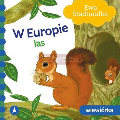 W Europie. Las. Wiewiórka