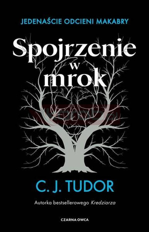 Spojrzenie w mrok. Jedenaście odcieni makabry