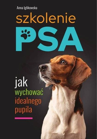Szkolenie psa. Jak wychować idealnego pupila