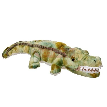 Krokodyl 61cm