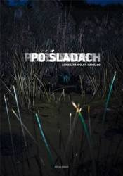 Po śladach