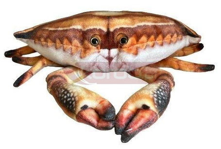 Krab 31cm