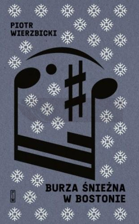 Burza śnieżna w Bostonie