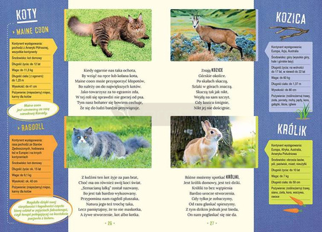 Najpiękniejsze zwierzęta świata