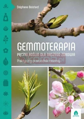 Gemmoterapia. Pączki roślin dla naszego zdrowia