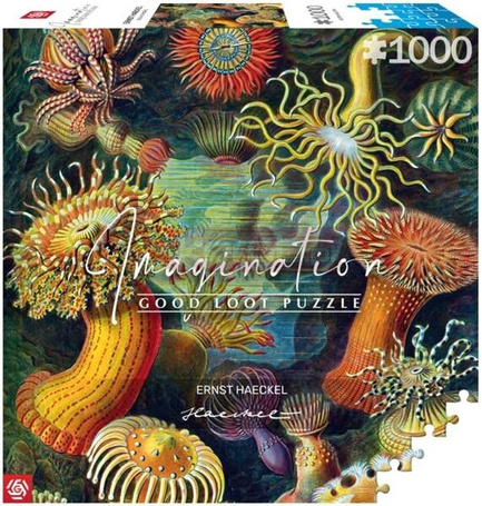 Puzzle 1000 Ernst Haeckel: Stworzenia morskie