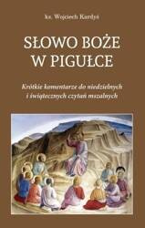 Słowo Boże w pigułce T.1