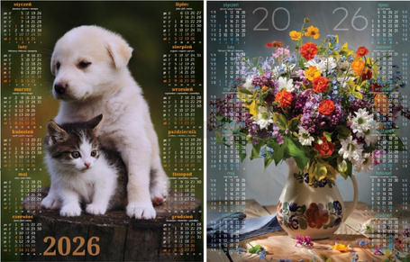 Kalendarz 2026 plakatowy MIX (18szt)