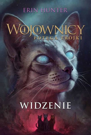 Wojownicy T.13 Widzenie