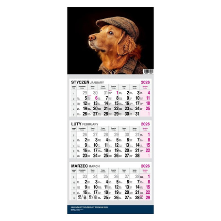 Kalendarz 2026 Trójdzielny Twarda Główka Pies