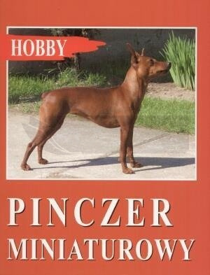 Pinczer miniaturowy